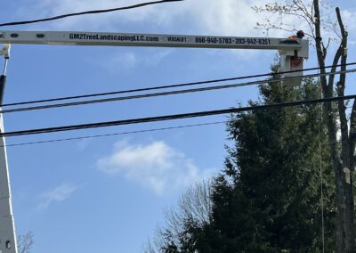 The GM2 Tree Service team at work in Bristol, CT