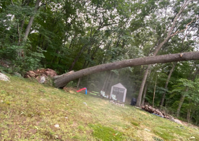 Land Clearing Removal Bristol CT