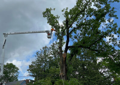 Storm Damage Removal Bristol CT