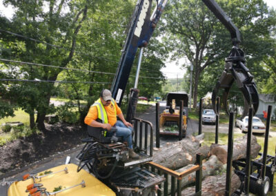 Tree Removal Woodbury CT