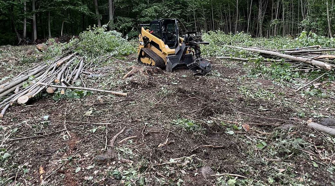 7 Benefits of Land Clearing for Commercial Development