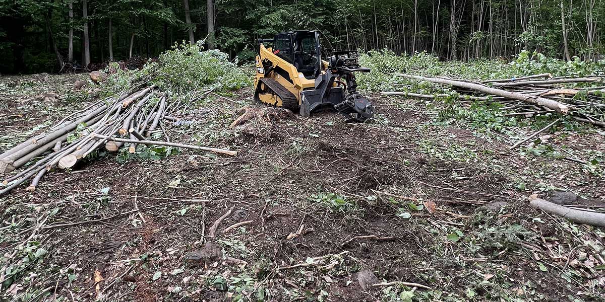 benefits of land clearing