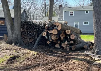 Firewood in Middlebury, CT
