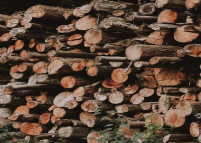 A bunch of firewood in Northfield, CT