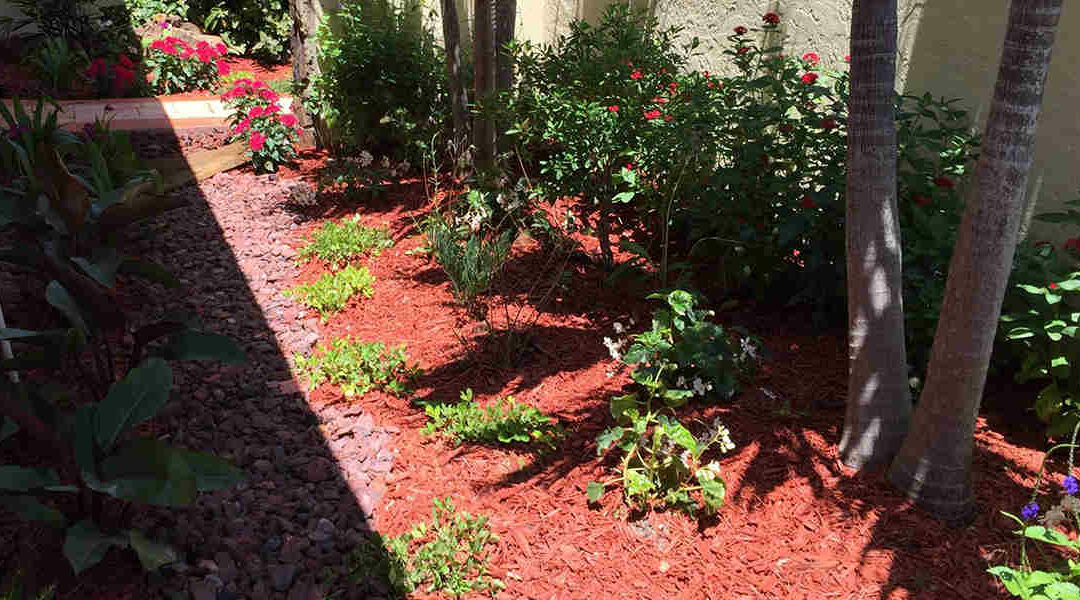 How to Mulch Around Trees: A Guide for Falls Church, VA Homeowners