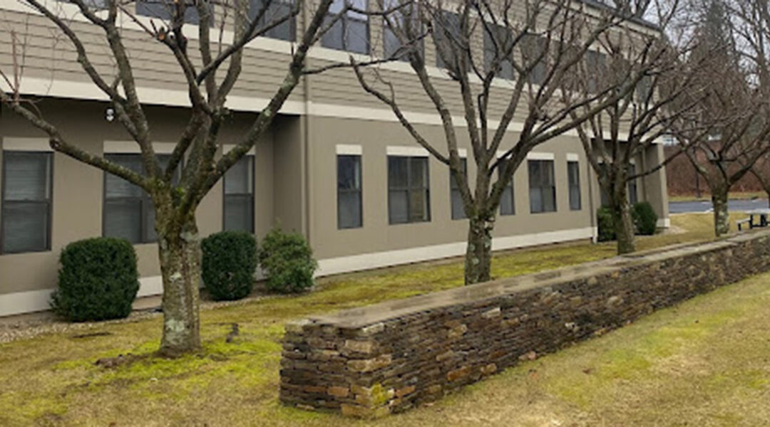 How To Prepare Your Trees for Winter