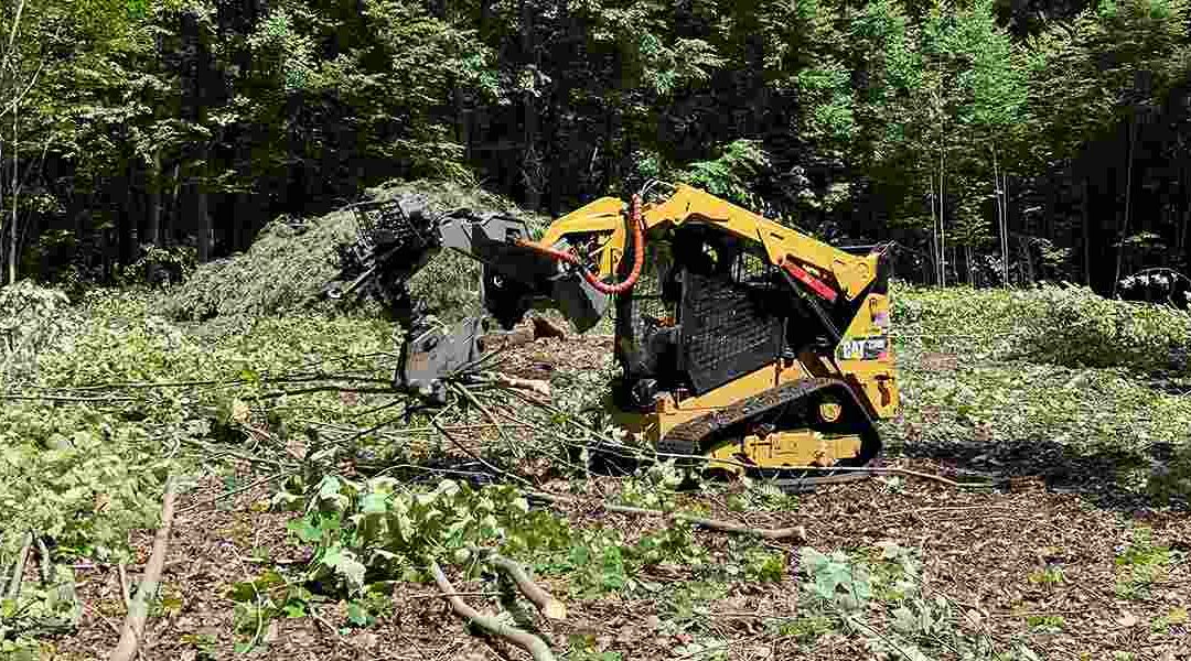 How To Remove Big Tree Roots From the Ground