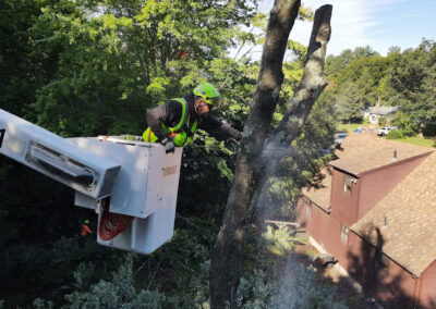 A crew member clearing a tree in Bristol, CT