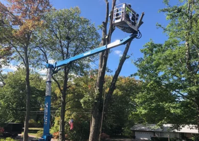 A crew member in a lift during land clearing in New Britain, CT