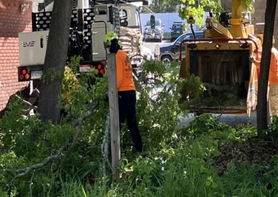 A crew member clearing brush during land clearing in Watertown, CT