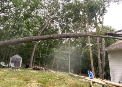 A fallen tree during storm damage cleanup in Bethany, CT