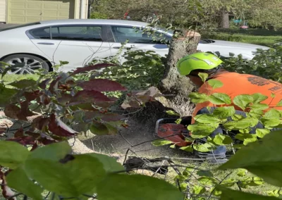 A crew member during storm damage cleanup in Burlington, CT