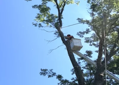 A crew member in a bucket lift during storm damage cleanup in Farmington, CT