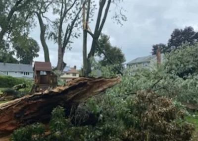A fallen tree during storm damage cleanup in Wolcott, CT