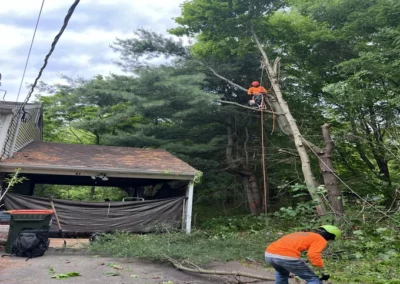 Crew members during a storm damage cleanup inn Woodbury, CT