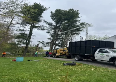 A truck and a crew prepping for a stump grinding in Torrington, CT