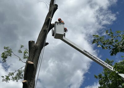 A tree service job in Bristol, CT