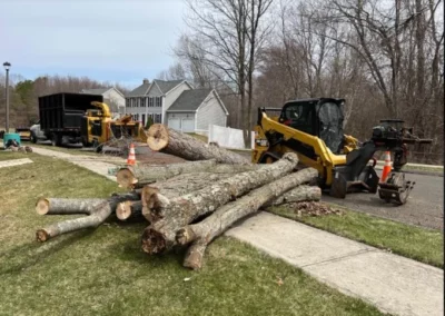 A tree trunk after removal in Burlington, CT