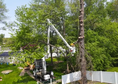 A crew member in a bucket truck next to a tree in Naugatuck, CT