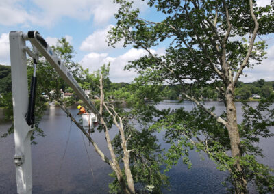 A crew member working on a tree in Oxford, CT